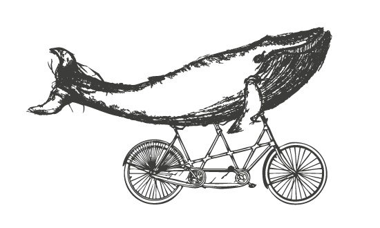 Fotógrafo documental de Bodas | David Naval Studio